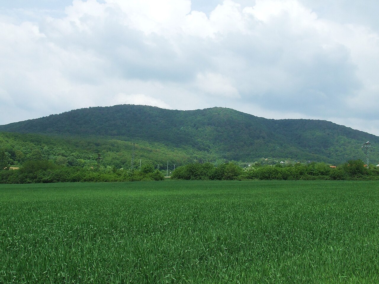 Onedoor Trail